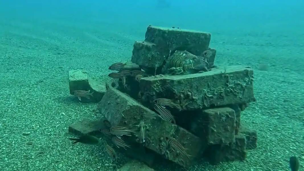 Konyaaltı Sahili’nde Sualtı Mucizesi: Denizin Dibinde Büyük Buluş! 1